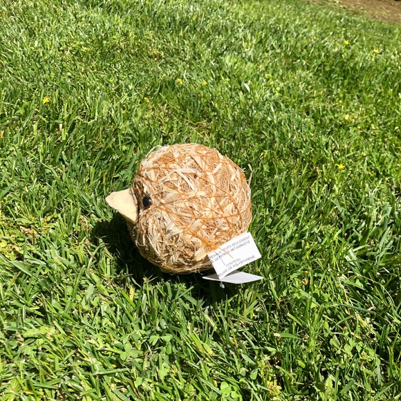 NWT Pier 1 Imports Decorative Natural Vase Filler - Picture 6 of 13